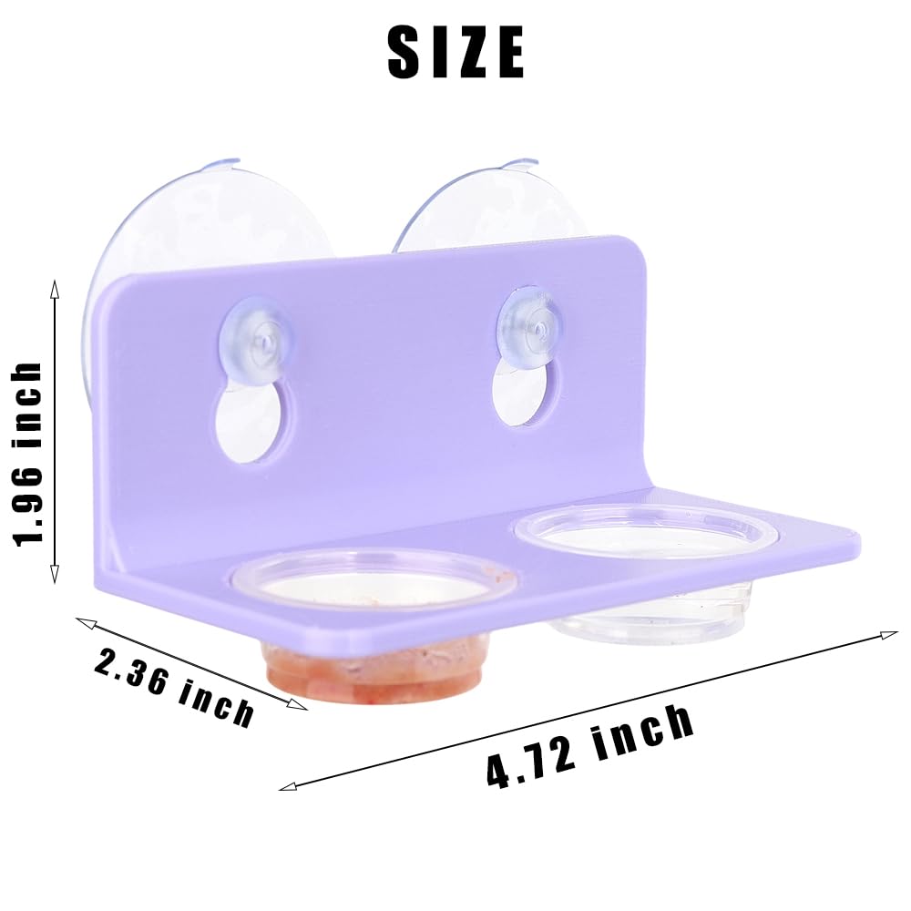 Crested Gecko Feeding Ledge with 10PCS Gecko Food Water Dish - Purple
