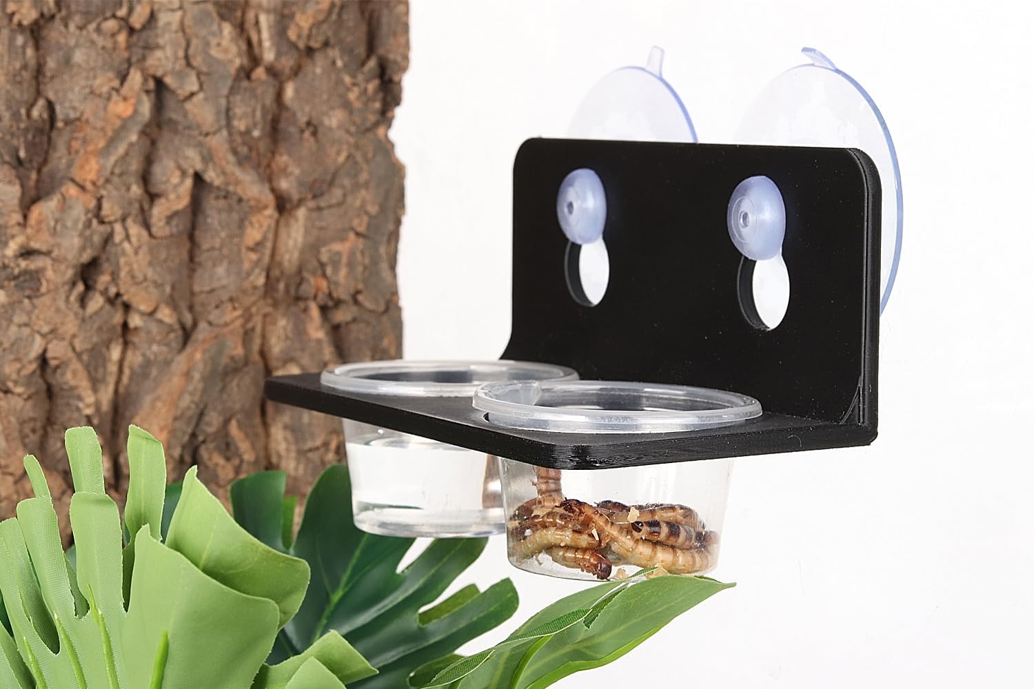 100Pieces 1oz Crested Gecko Food Cups