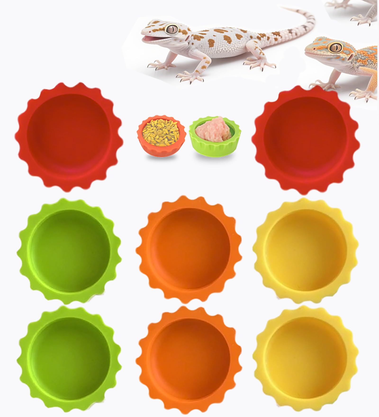 Meow&Woof Crested Gecko Food and Water Feeding Cups, Reptile Food Dish, 6 Pack Colorful Water Bowl for Bearded Dragon Tank Terrarium Accessories Supplies for Tortoise, Crab and Small Pet
