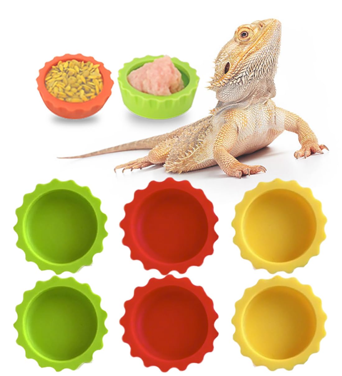Meow&Woof Crested Gecko Food and Water Feeding Cups, Reptile Food Dish, 6 Pack Colorful Water Bowl for Bearded Dragon Tank Terrarium Accessories Supplies for Tortoise, Crab and Small Pet