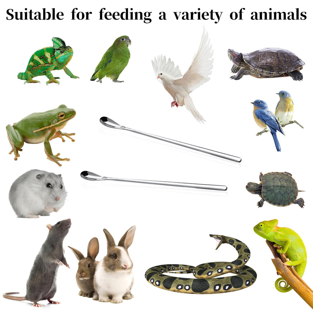 2Pcs Crested Gecko Feeding Spoon, Stainless Steels Reptile Spoon, 7.6 Inch Long Handle Crested Food Feeding Spoon for Gecko Lizard Gargoyle Bearded and Other Small Animals