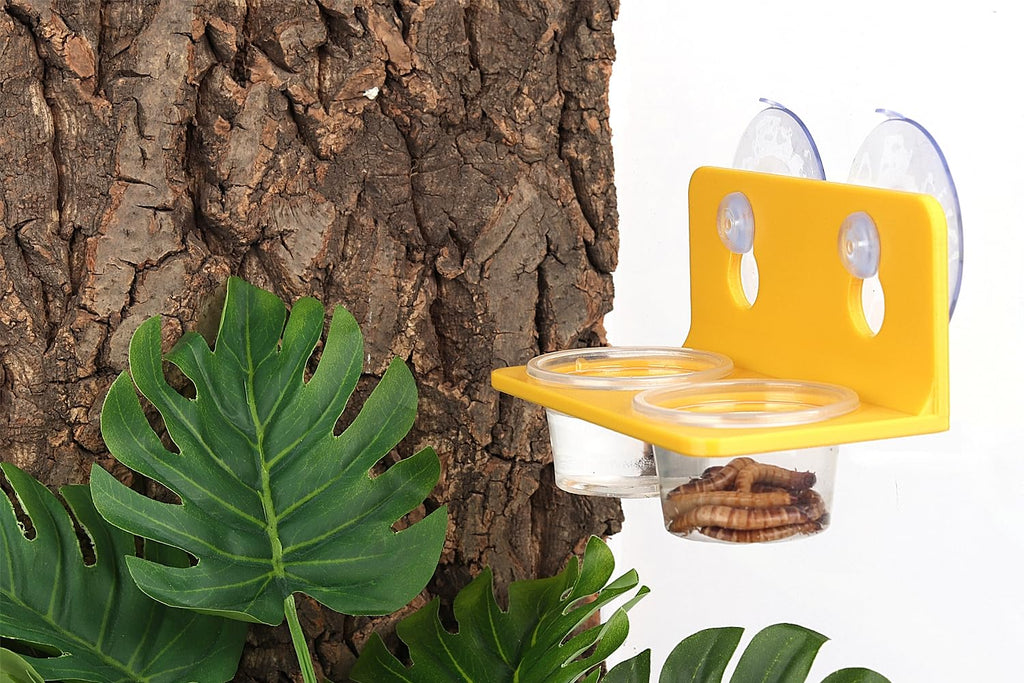 Crested Gecko Feeding Ledge with 10PCS Gecko Food Water Dish - Purple