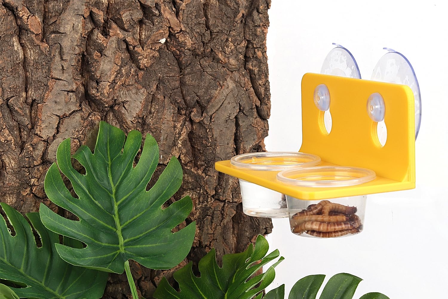 Crested Gecko Feeding Ledge with 10PCS Gecko Food Water Dish - Purple