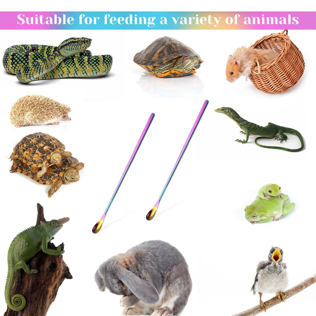 2Pcs Crested Gecko Feeding Spoon, Stainless Steels Reptile Spoon, 7.6 Inch Long Handle Crested Food Feeding Spoon for Gecko Lizard Gargoyle Bearded and Other Small Animals