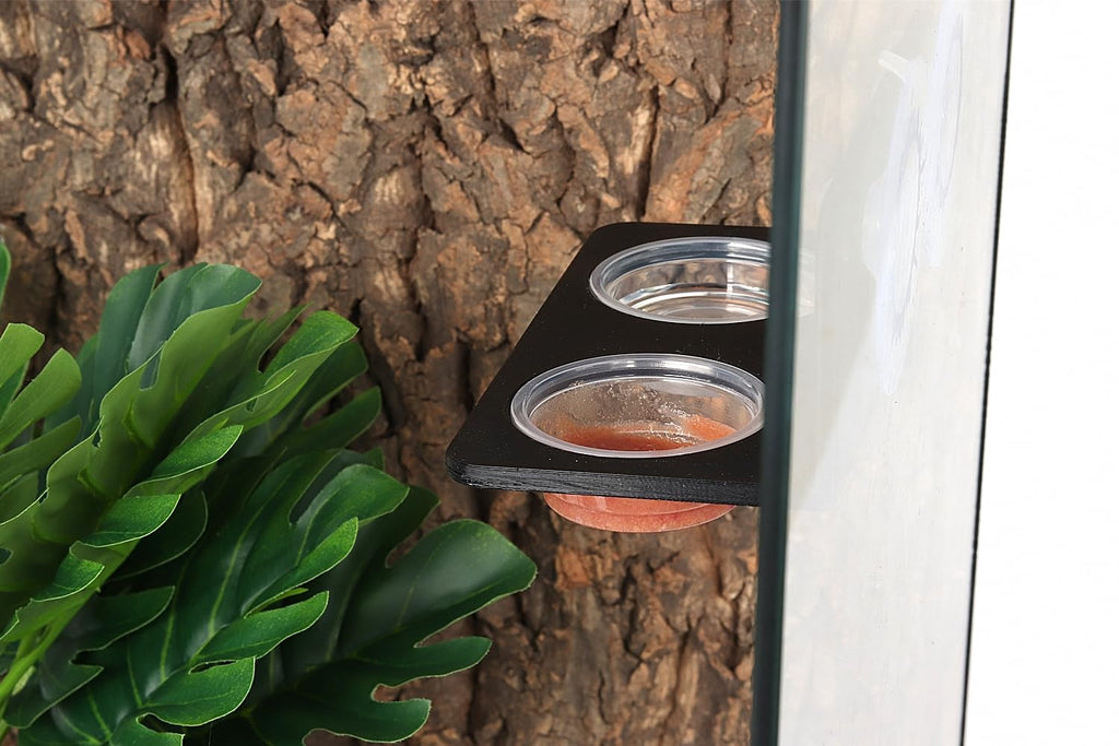 Crested Gecko Feeding Ledge with 10PCS Gecko Food Water Dish - Purple