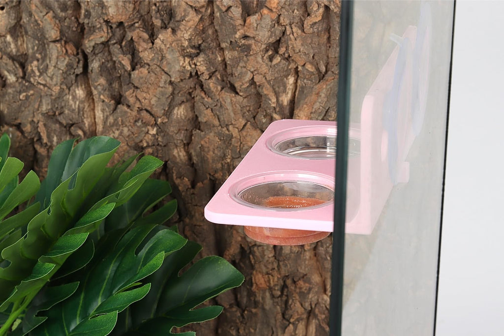 Crested Gecko Feeding Ledge with 10PCS Gecko Food Water Dish - Purple