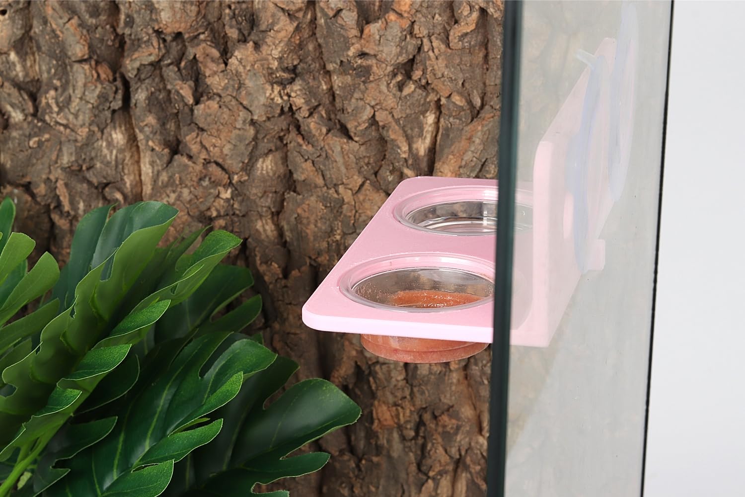 Crested Gecko Feeding Ledge with 10PCS Gecko Food Water Dish - Purple