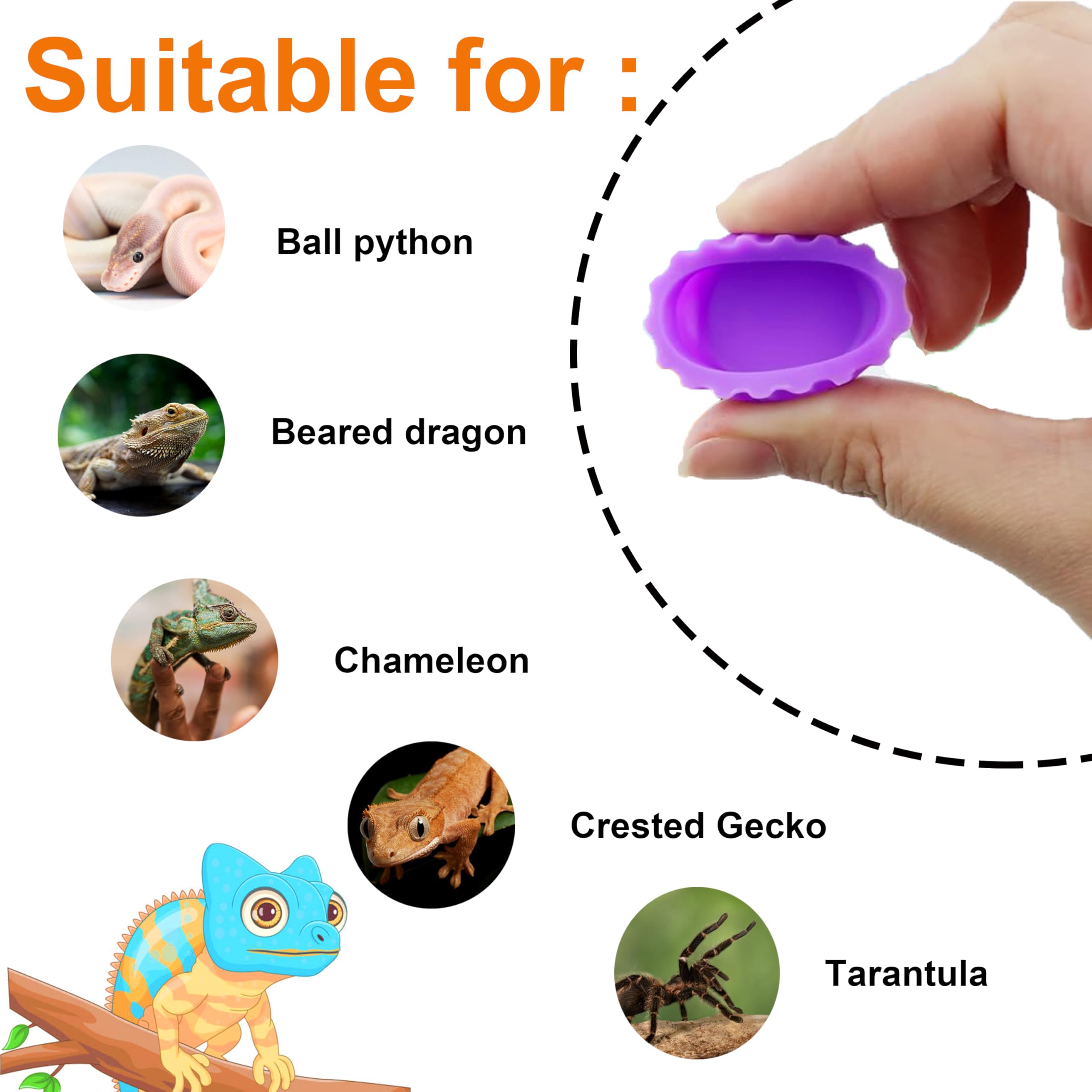 Meow&Woof Crested Gecko Food and Water Feeding Cups, Reptile Food Dish, 6 Pack Colorful Water Bowl for Bearded Dragon Tank Terrarium Accessories Supplies for Tortoise, Crab and Small Pet