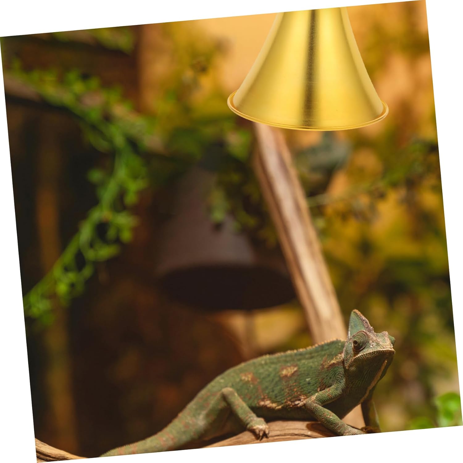 BESPORTBLE Retro Style Heat Lamp Shade for Reptiles Metal Construction Easy to Install