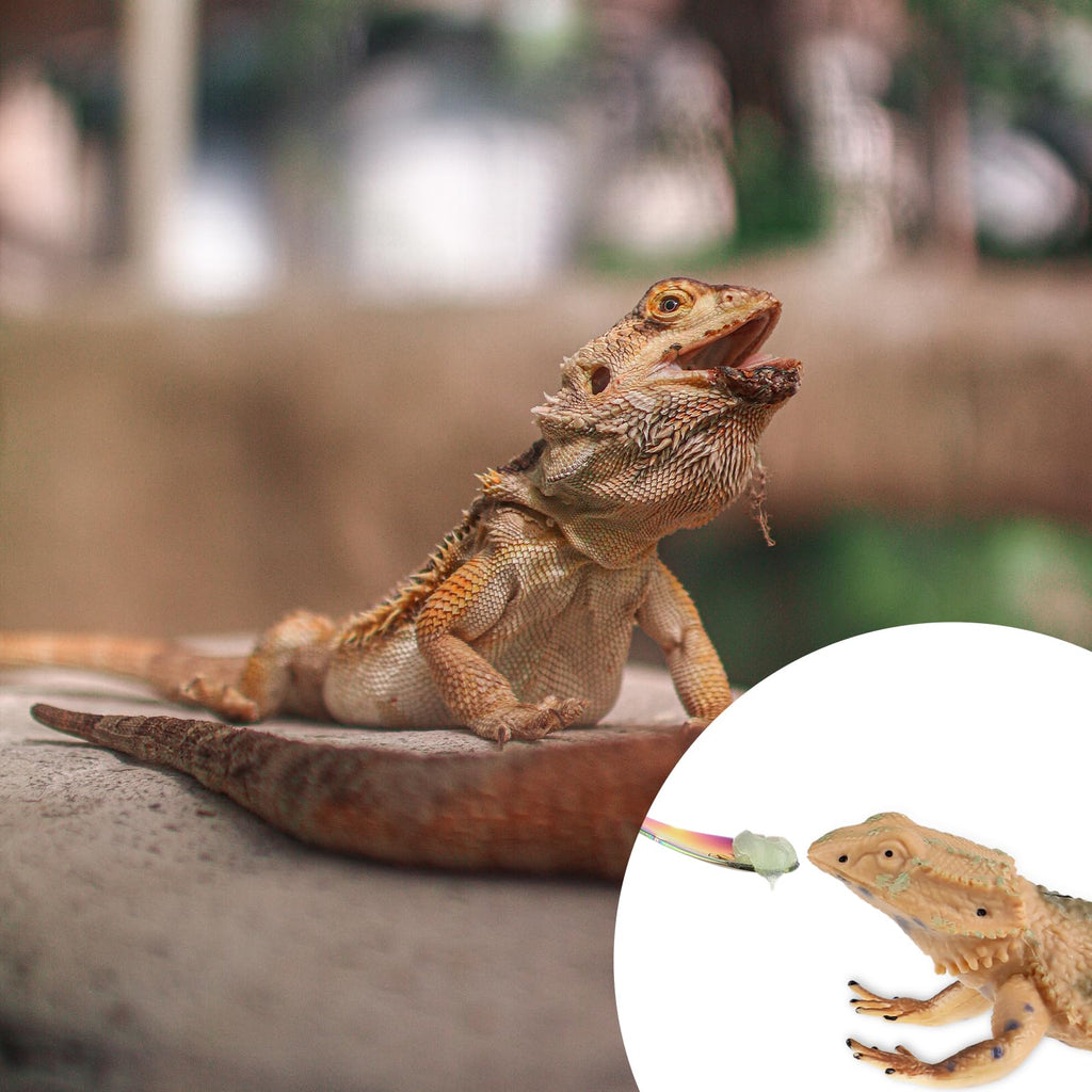 2Pcs Crested Gecko Feeding Spoon, Stainless Steels Reptile Spoon, 7.6 Inch Long Handle Crested Food Feeding Spoon for Gecko Lizard Gargoyle Bearded and Other Small Animals