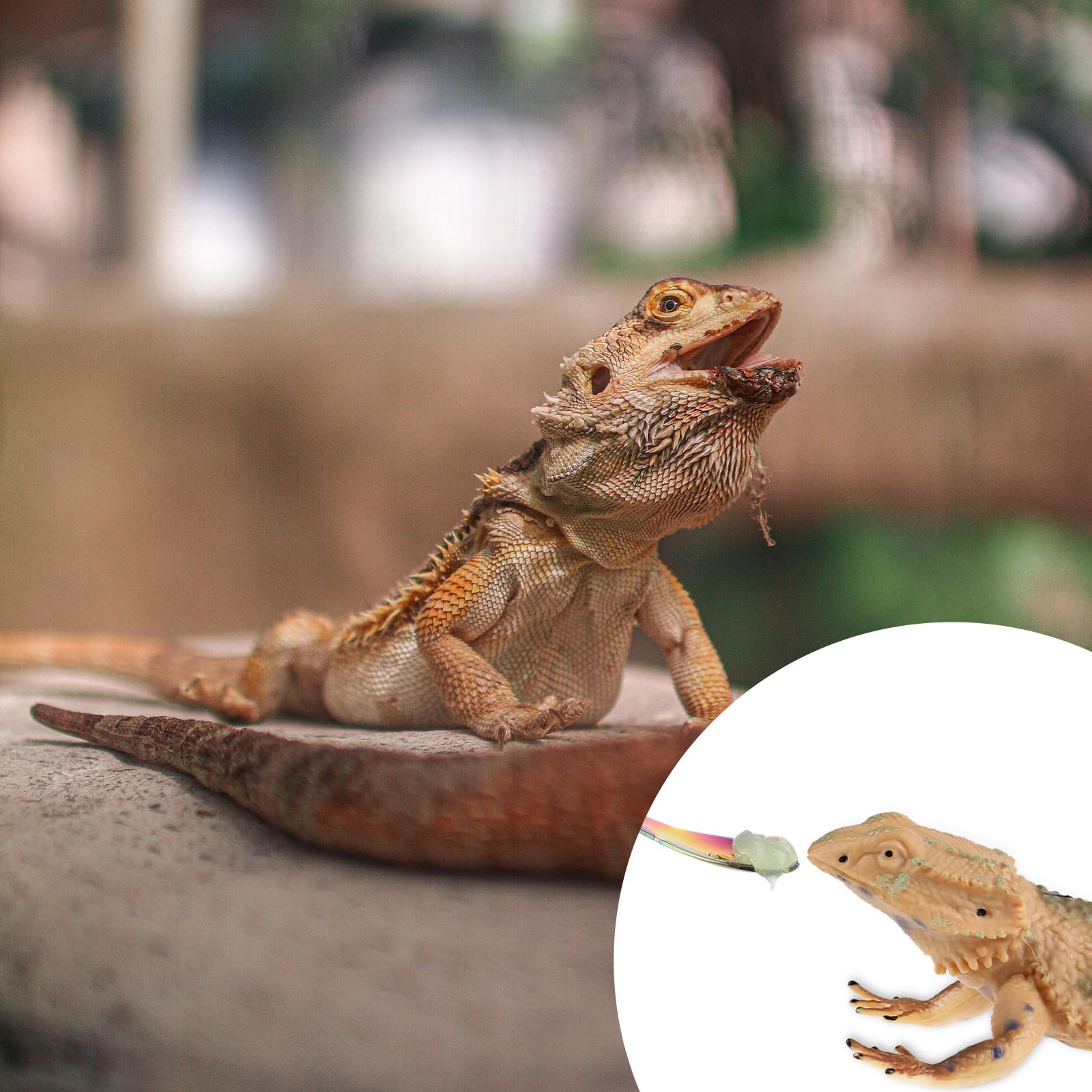 2Pcs Crested Gecko Feeding Spoon, Stainless Steels Reptile Spoon, 7.6 Inch Long Handle Crested Food Feeding Spoon for Gecko Lizard Gargoyle Bearded and Other Small Animals