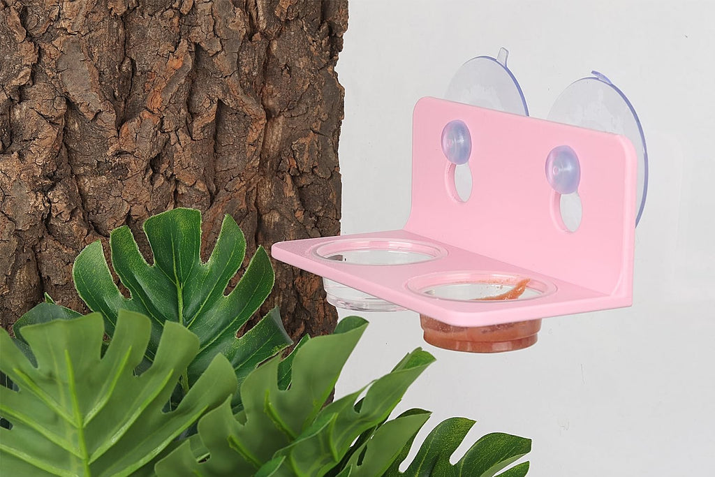 Crested Gecko Feeding Ledge with 10PCS Gecko Food Water Dish - Purple