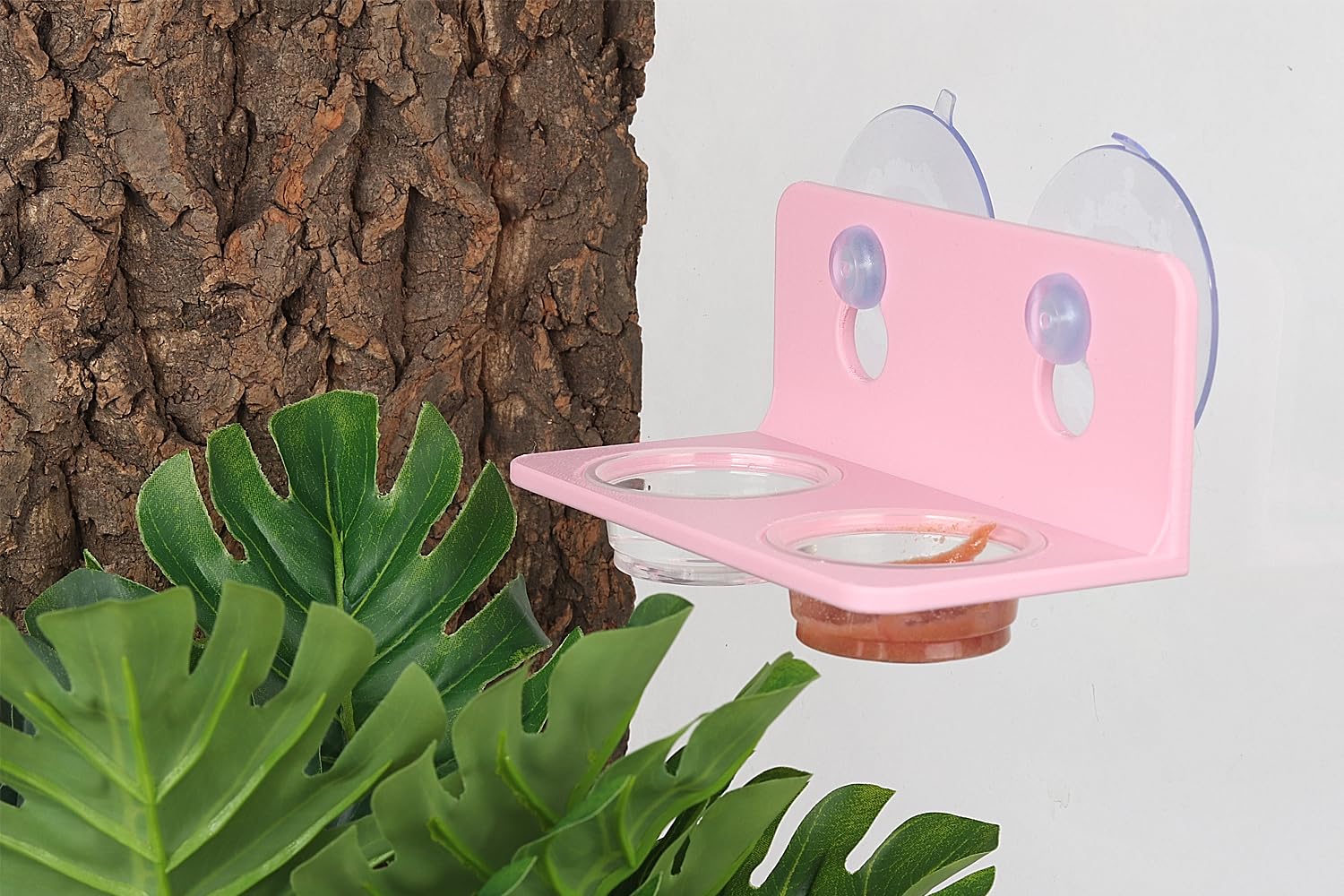 Crested Gecko Feeding Ledge with 10PCS Gecko Food Water Dish - Purple