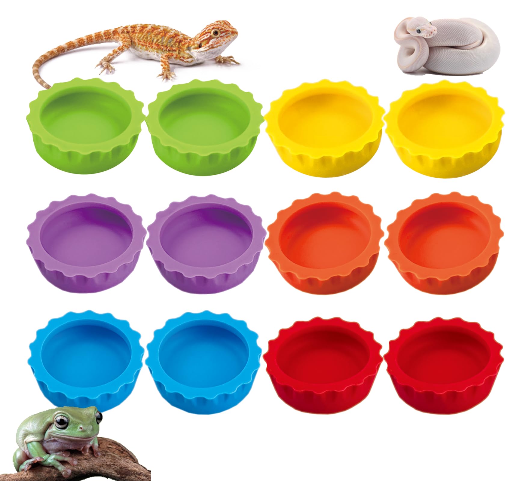 Meow&Woof Crested Gecko Food and Water Feeding Cups, Reptile Food Dish, 6 Pack Colorful Water Bowl for Bearded Dragon Tank Terrarium Accessories Supplies for Tortoise, Crab and Small Pet