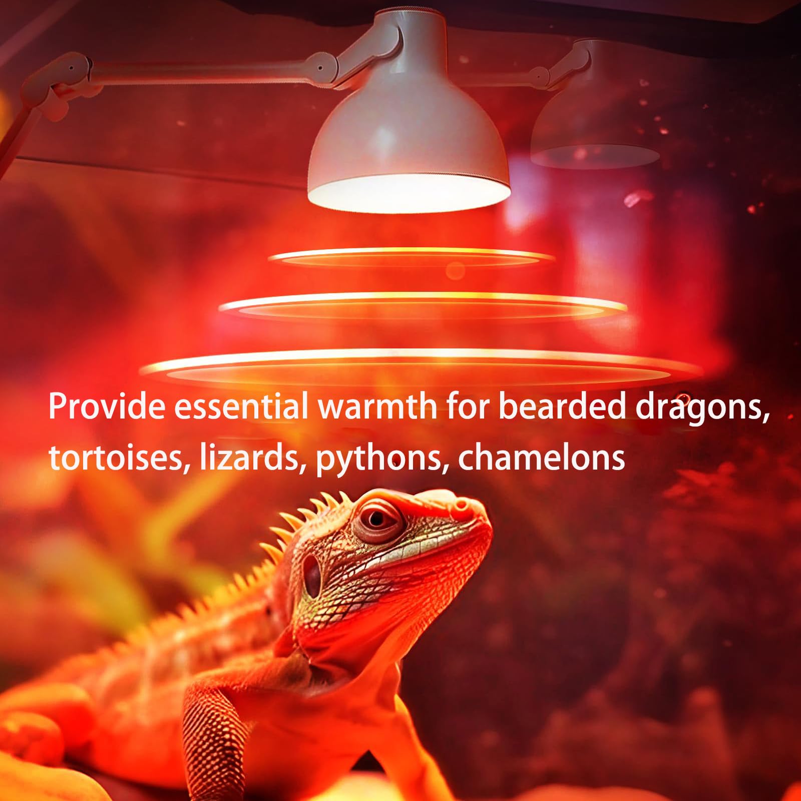 Vinaco G9 Heat Lamp Bulbs for Reptile, Dimmable Night Red UVA UVB Reptile Heat Lamp G9, 2 Pin Base Mini G 9 Halogen Bulbs 50W 120V, Infrared Heat Lamp for Bearded Dragon Gecko Turtle Lizard