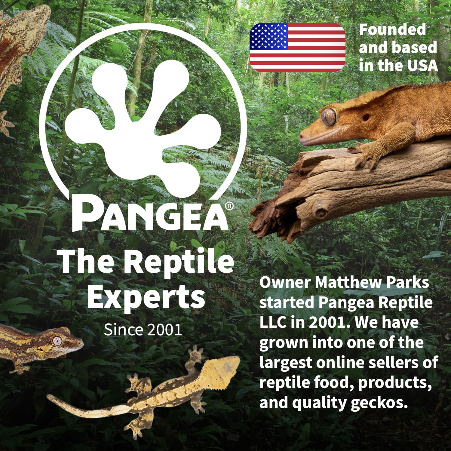 Pangea Fruit Mix Apricot Complete Crested Gecko Food 2 oz