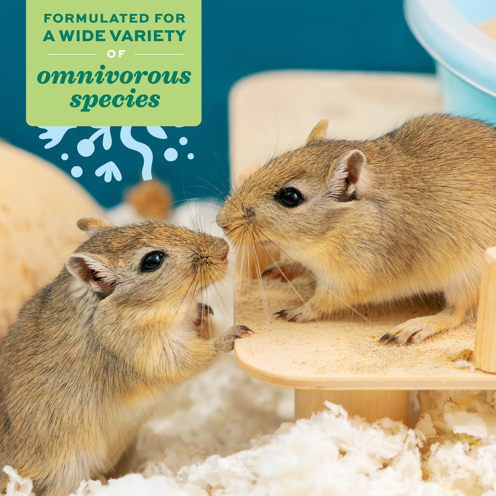 Oxbow Critical Care Omnivore, Recovery Food for Rats, Mice, Hamsters, Gerbils, Vet Formulated, High Calorie Small Animal Diet, Immune and Digestive Support, Omnivore Formula, 340g Bag
