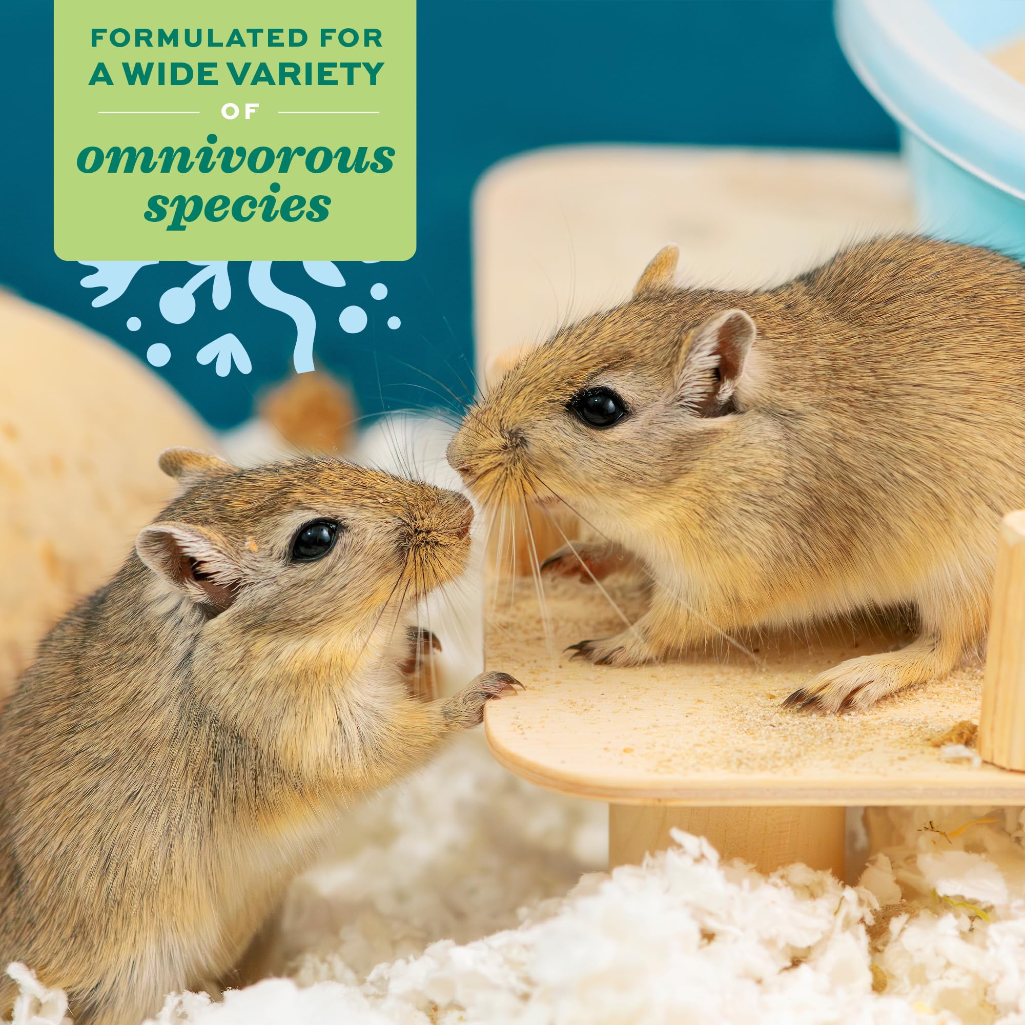 Oxbow Critical Care Omnivore, Recovery Food for Rats, Mice, Hamsters, Gerbils, Vet Formulated, High Calorie Small Animal Diet, Immune and Digestive Support, Omnivore Formula, 340g Bag