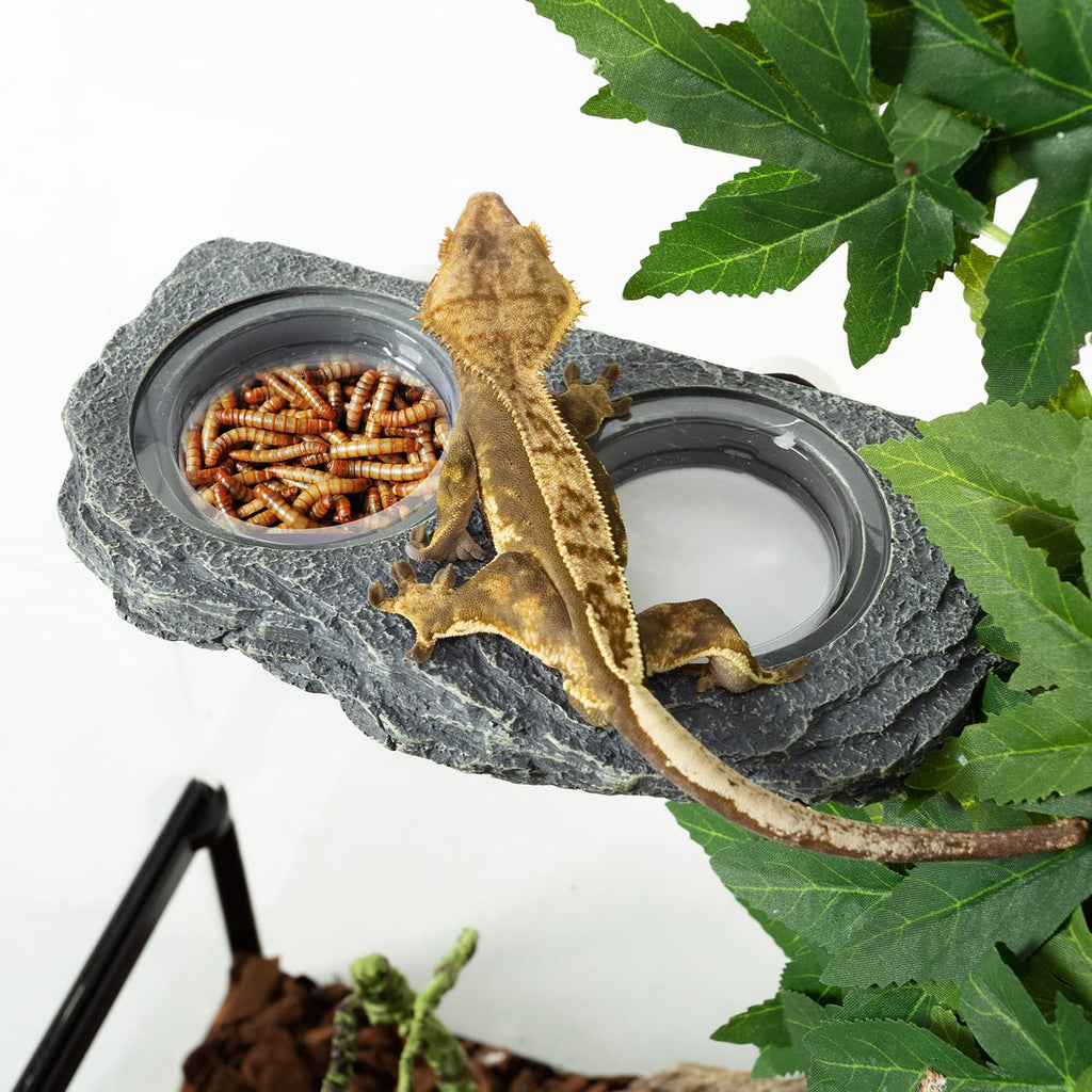 REPTIZOO Reptile Magnetic Feeder Ledge, Single Bowl Reptile Food Dish with 3PCS Feeding Cups Food Water Feeder for Crested Gecko Lizard Chameleon Pets