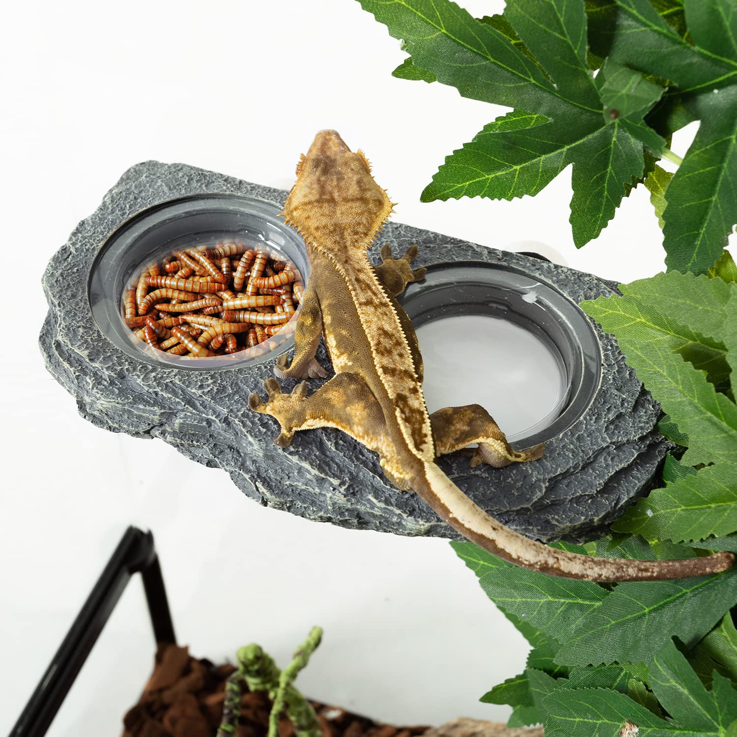 REPTIZOO Reptile Magnetic Feeder Ledge, Single Bowl Reptile Food Dish with 3PCS Feeding Cups Food Water Feeder for Crested Gecko Lizard Chameleon Pets