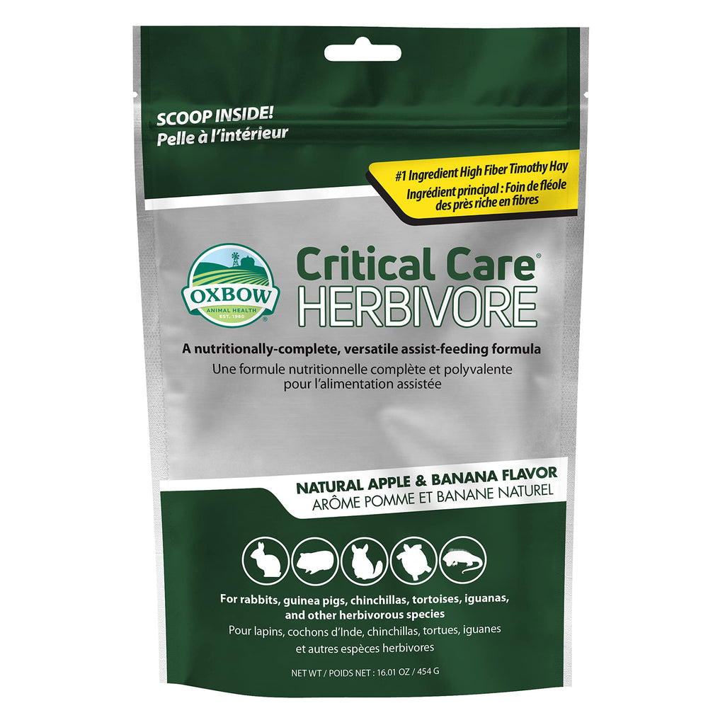 Oxbow Critical Care Herbivore, Emergency Guinea Pig Food, Rabbit Food for Recovery, Natural Apple Banana Flavor, Critical Care for Guinea Pig Emergency Kit, Made in USA, 141 Grams